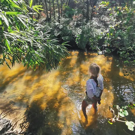 Le Tipi Tropical Au Bord De La Riviere